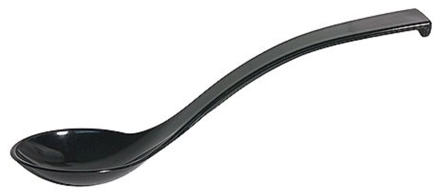 Cuillère à servir 24 cm, noir
