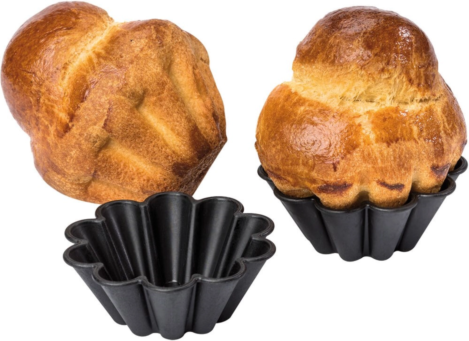 12 Exoglass Buns 12 Seiten D80