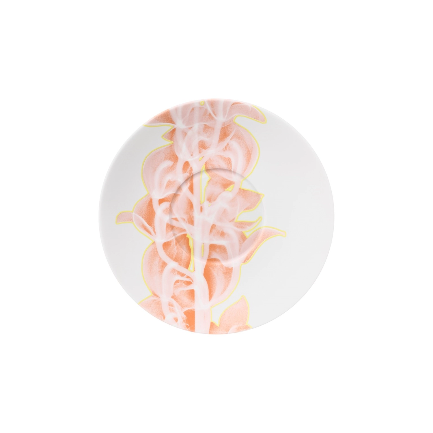 PalmHouse X Coral Coupeteller, klein