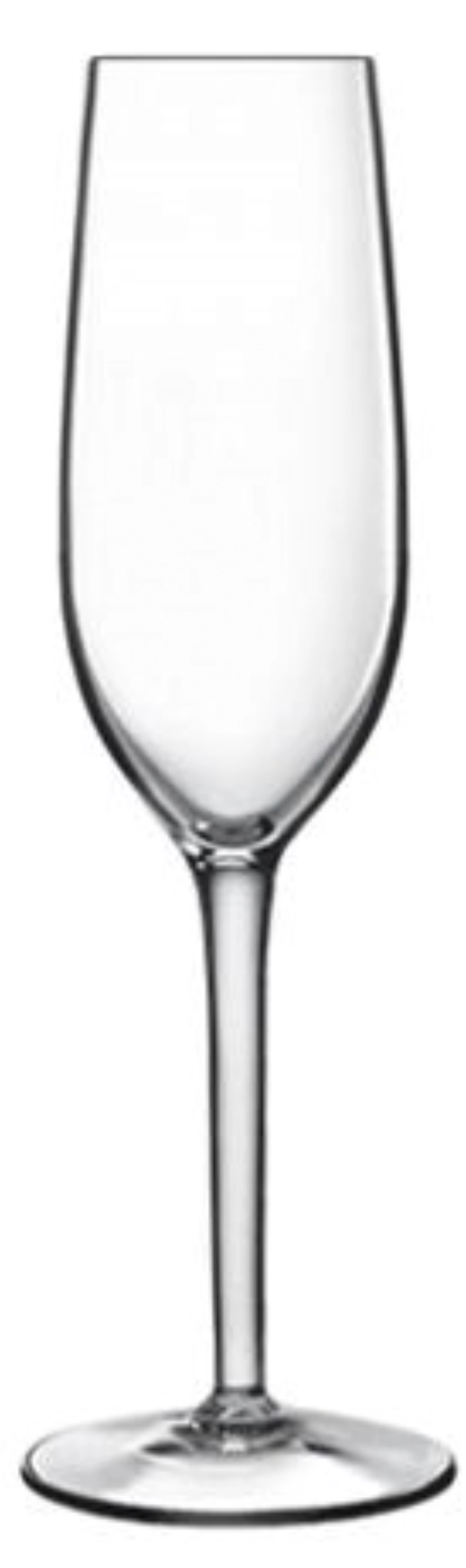 Rubino coupe à champagne 21cl, 1dl calibrée