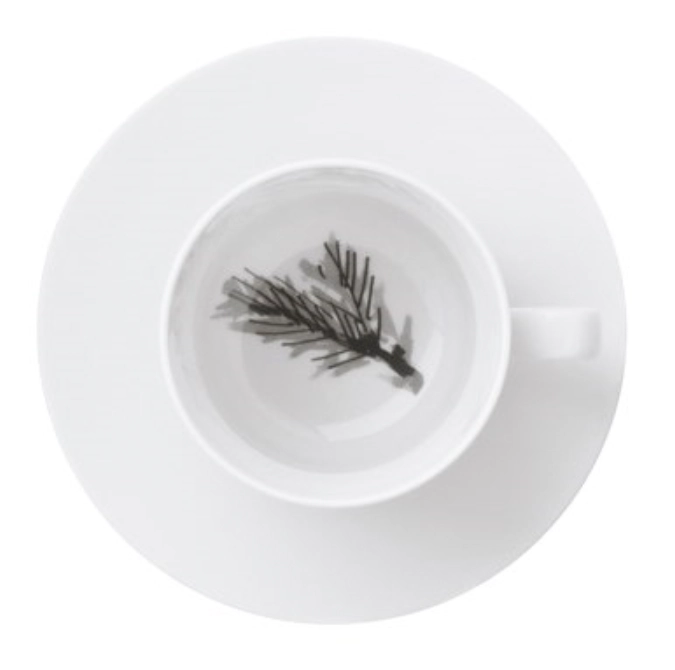 Piqueur Tasse à cappuccino