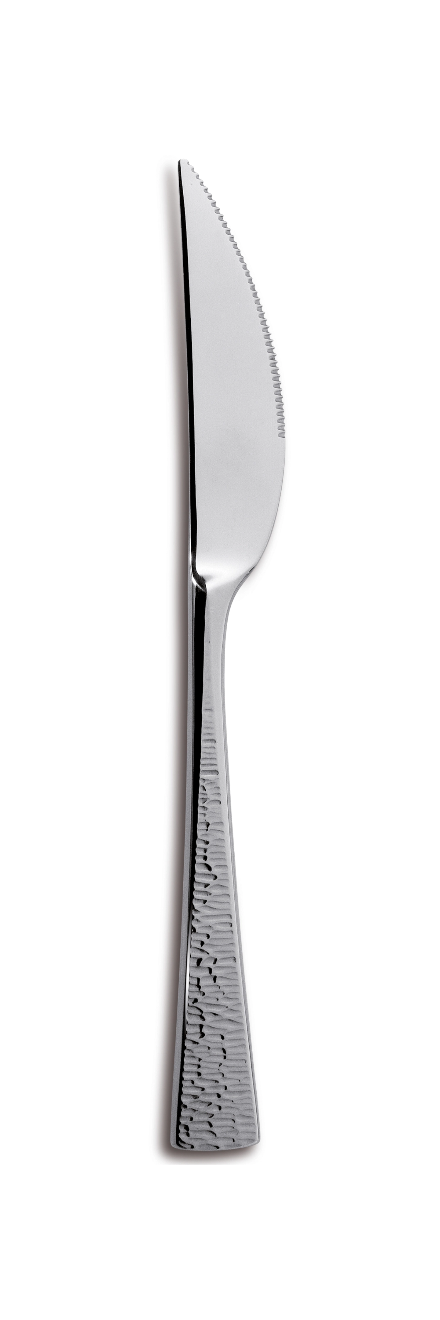 Couteau steak