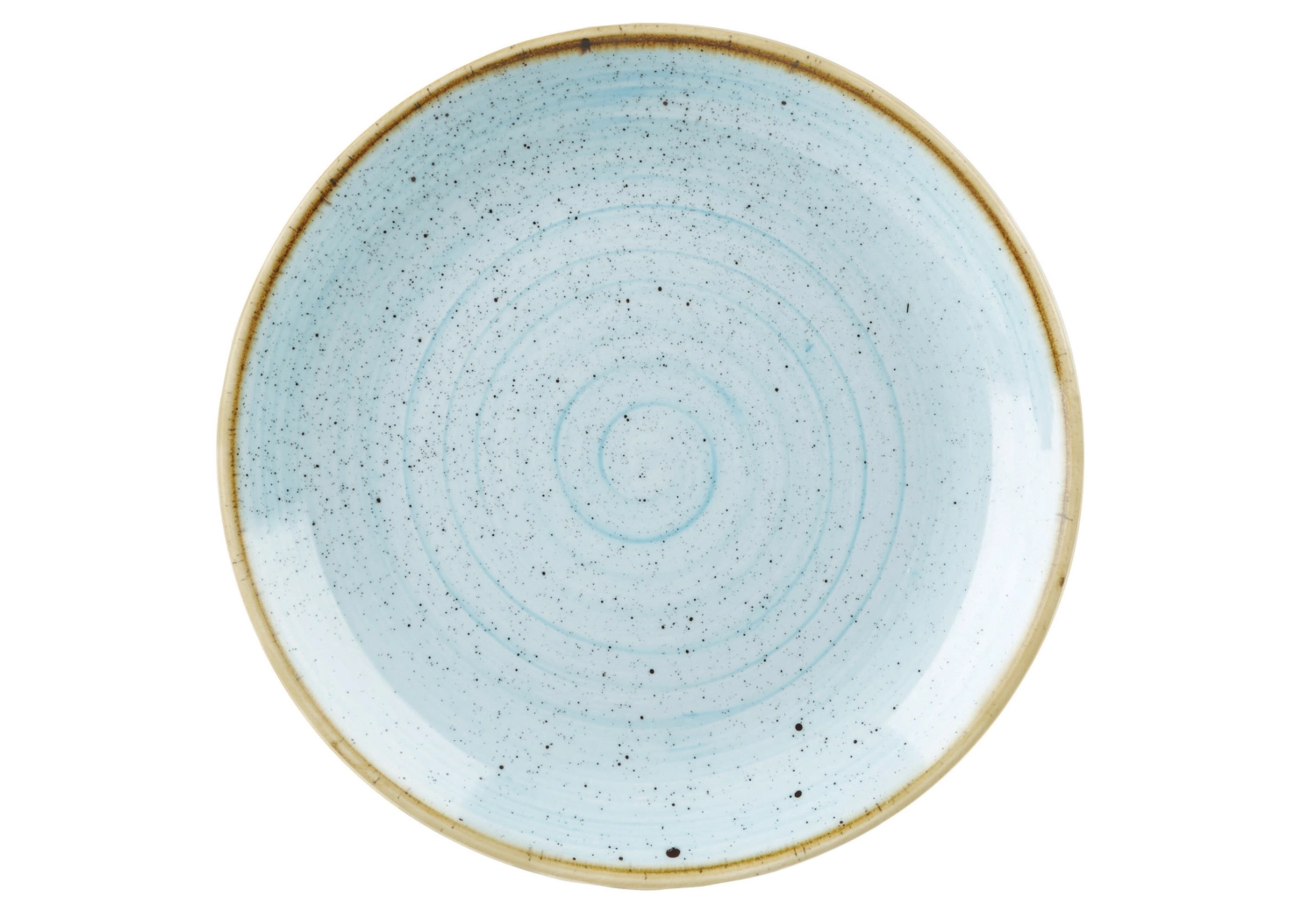 Stonecast duck egg blue coupe assiette plate 26cm