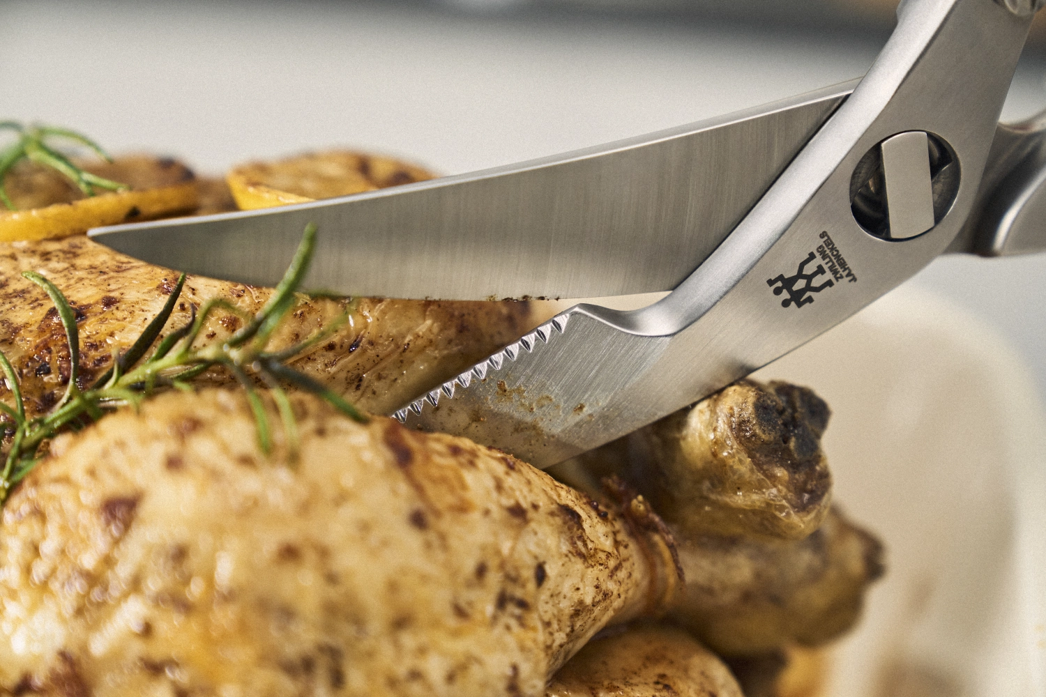 Ciseaux à volaille avec clou de levage