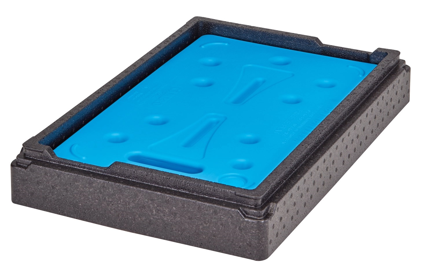 GoBox Camchiller Insert p. top loader GN1/1 EPP gr