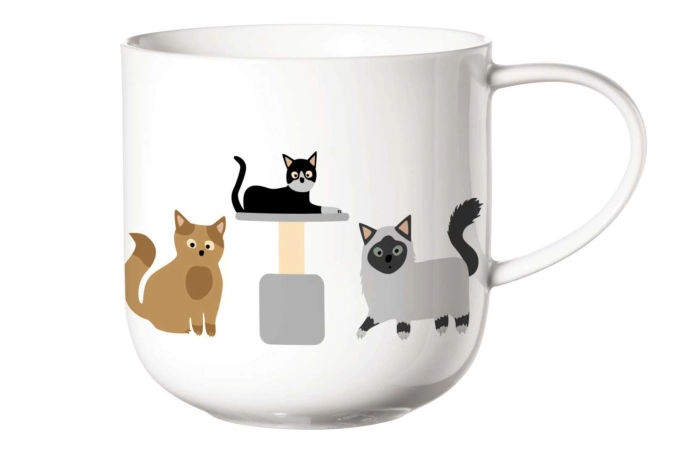 Coppa Henkelbecher, Cats