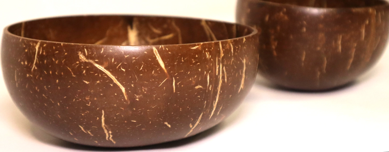 Set de 2 bols en noix de coco