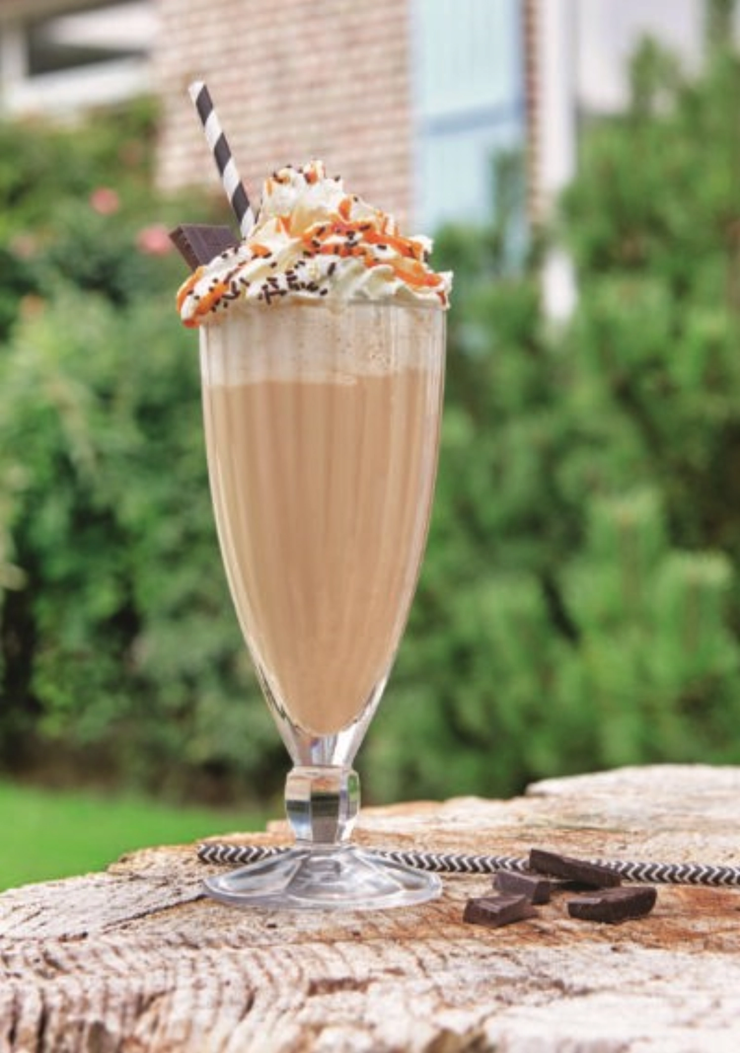 Milk shake quadro 39cl set6