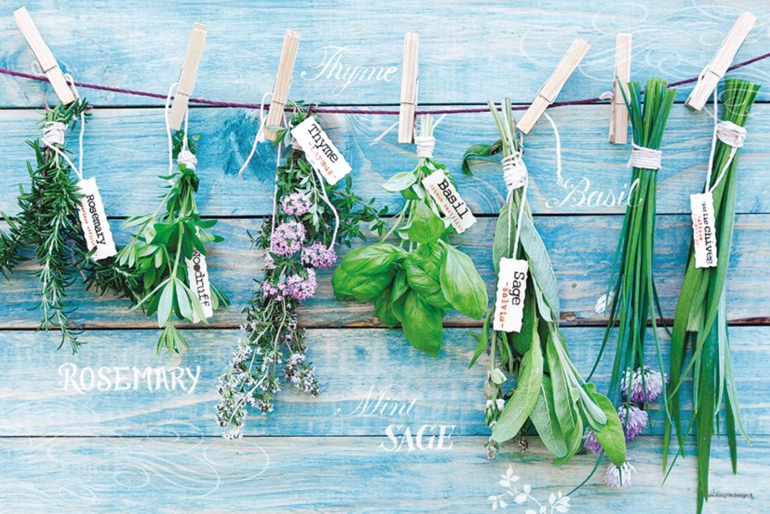 Set de table Hanging Herbs 45x30cm