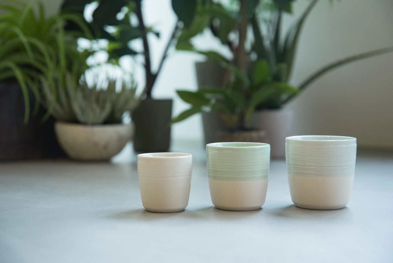 Dale Harris gobelet cappuccino