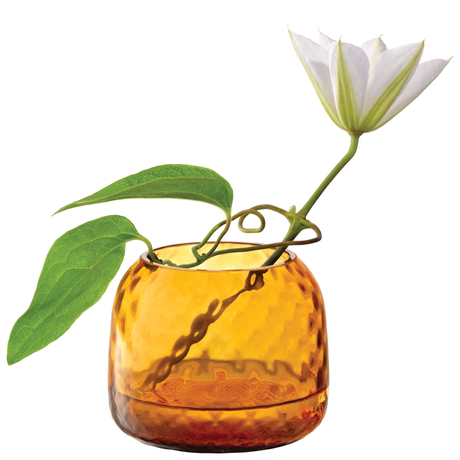 Dapple Teelichthalter/Vase