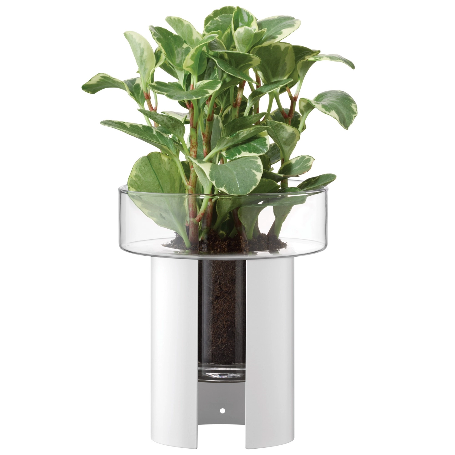 Pot de fleurs Terrazza H22 D19 cm clair/blanc