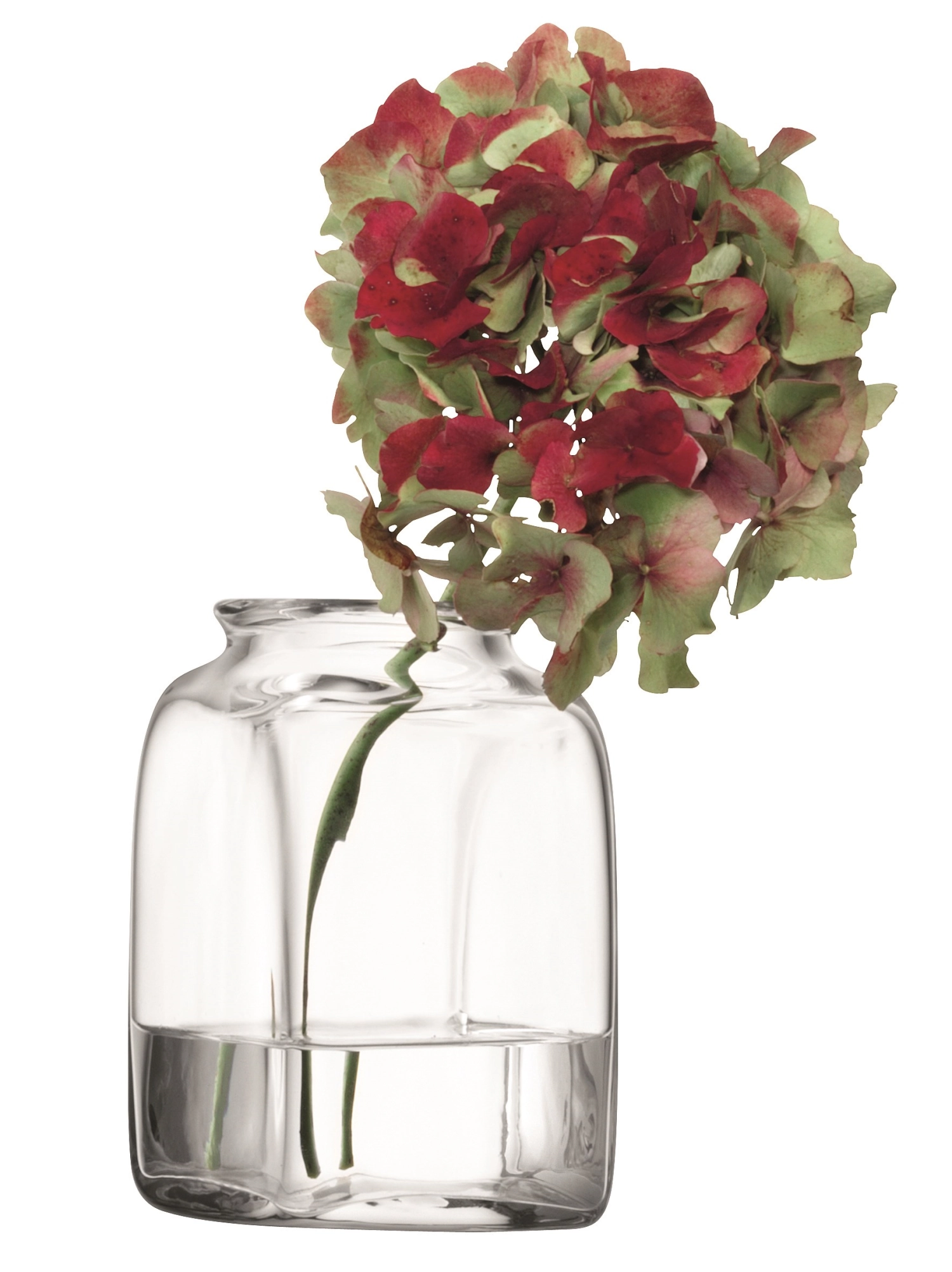 Umberto vase h14cm transparent