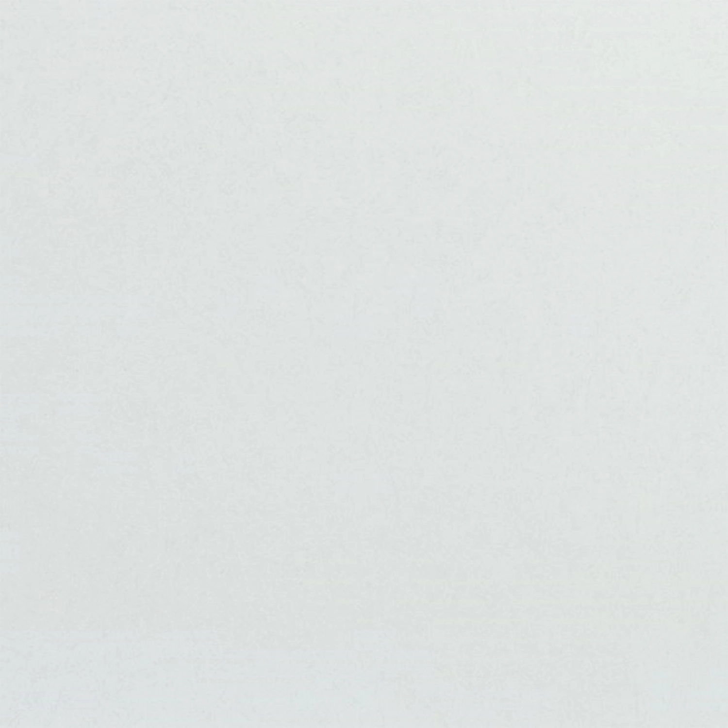 Plateau GN1/1 Polyclassic, Lumière Gris