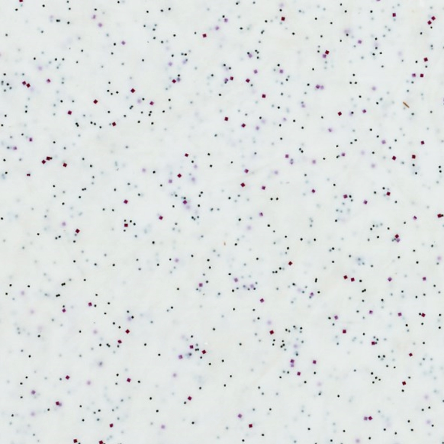 Plateau Système Polyclassic, Blanc 46x34.4cm