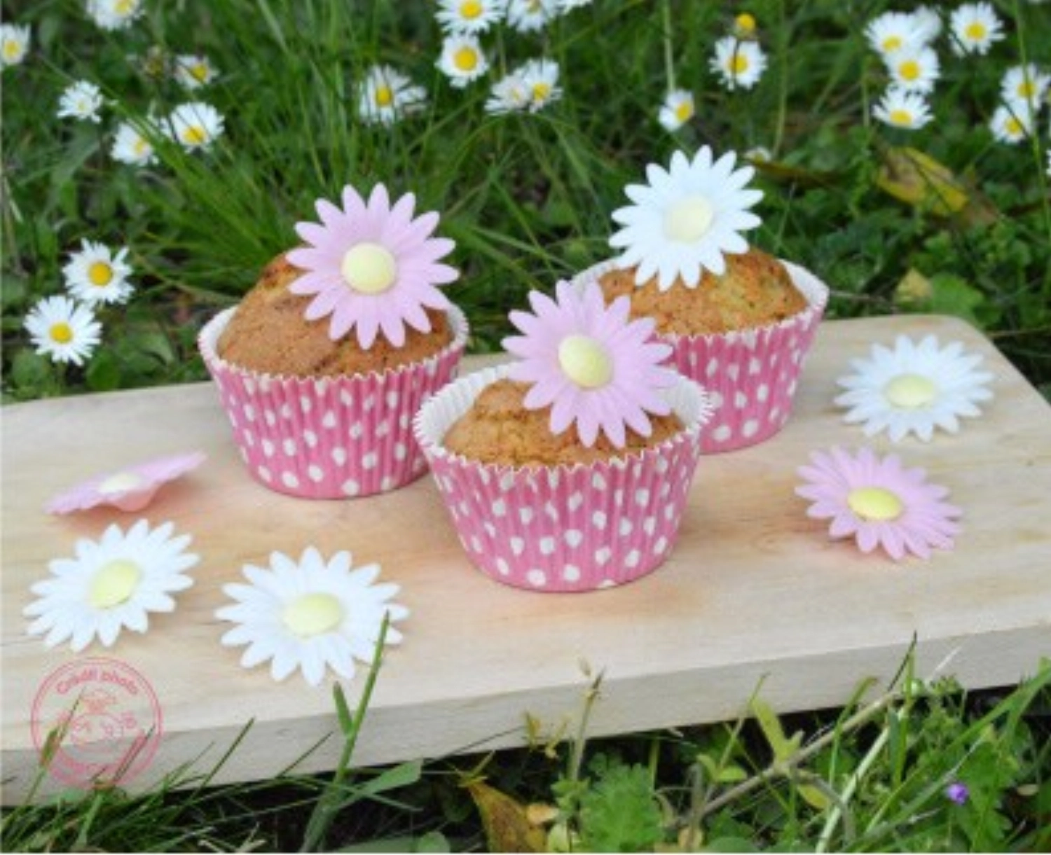 Fleurs azymes 18 marguerites