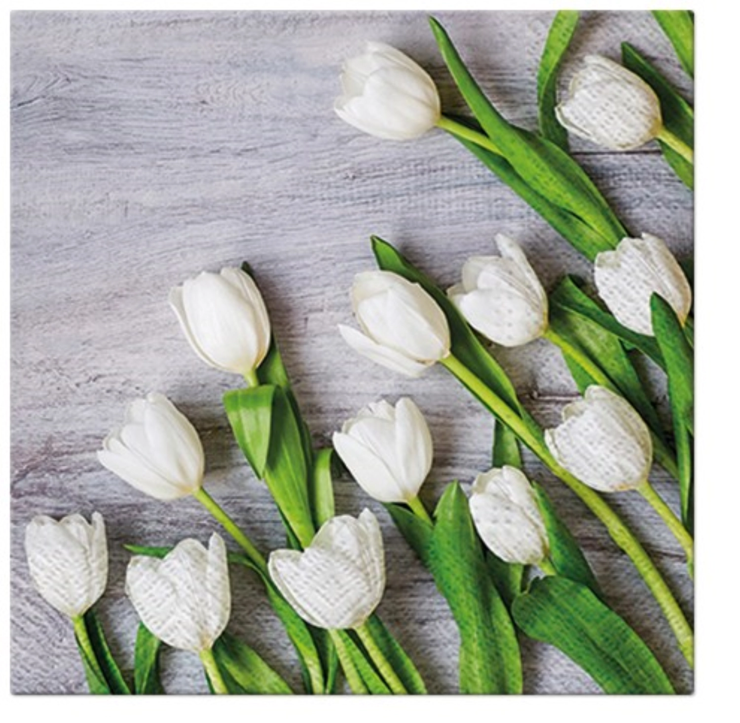 Serviettes de table lunch 20x tulipes blanches, 33x33cm