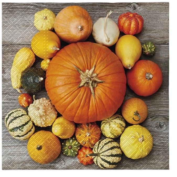 Serviettes Lunch 20x, Composition de citrouille 33x33cm
