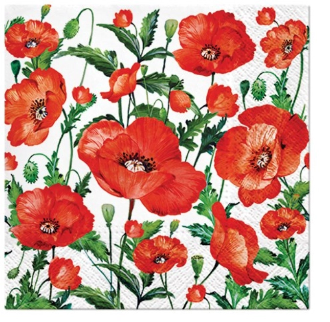 Serviettes de table Lunch 20x Coquelicot, 33x33cm