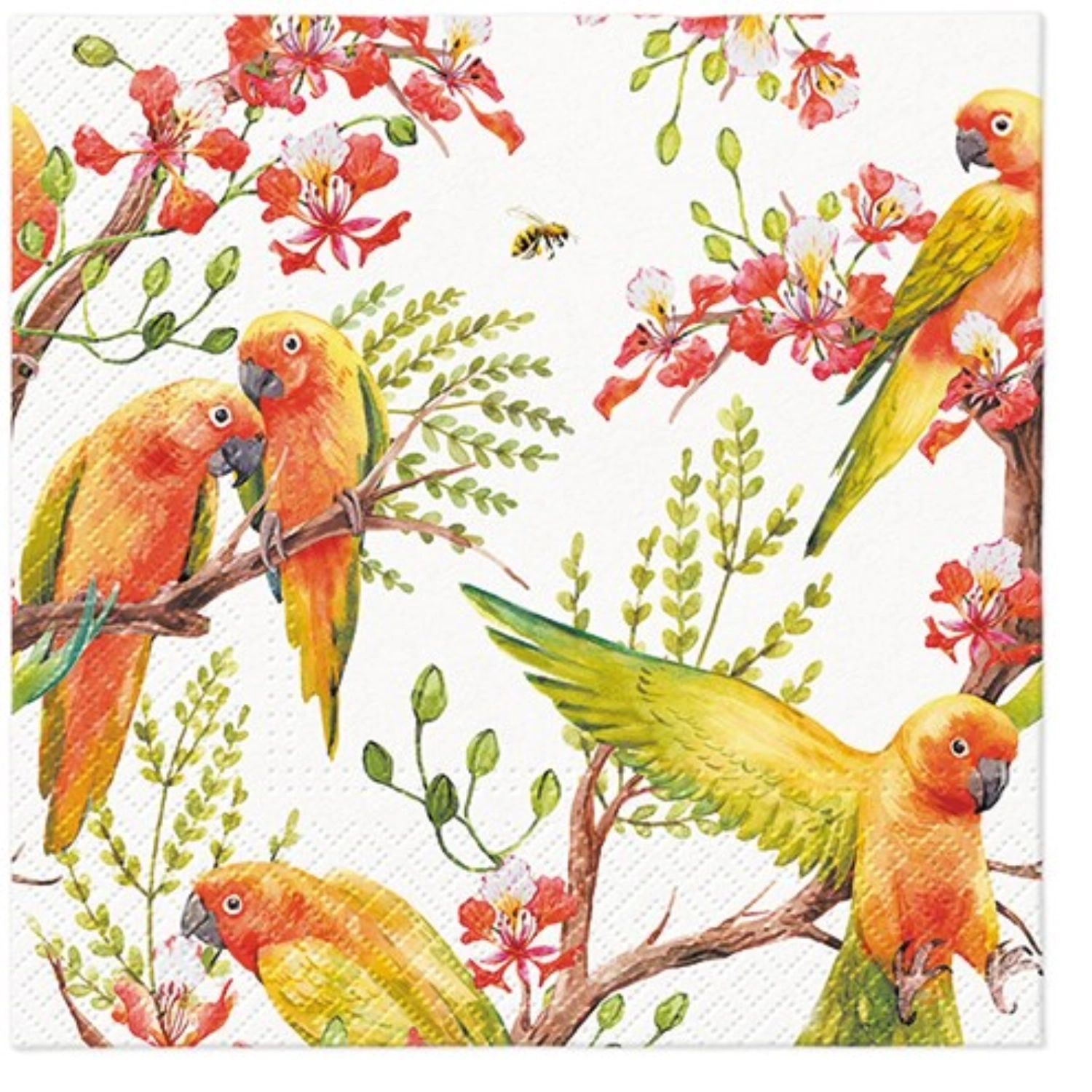 Serviettes de table lunch 20x exotic birds, 33x33 cm