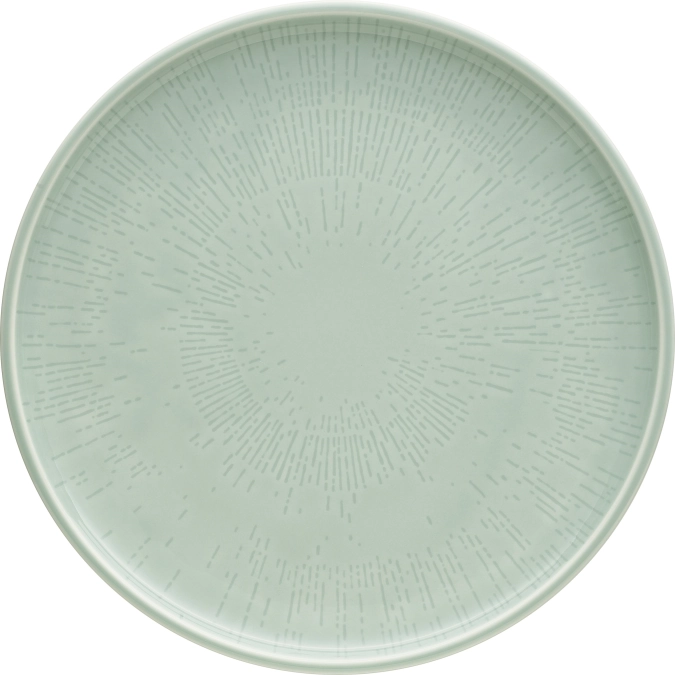Assiette plate coupe structure 26 frost