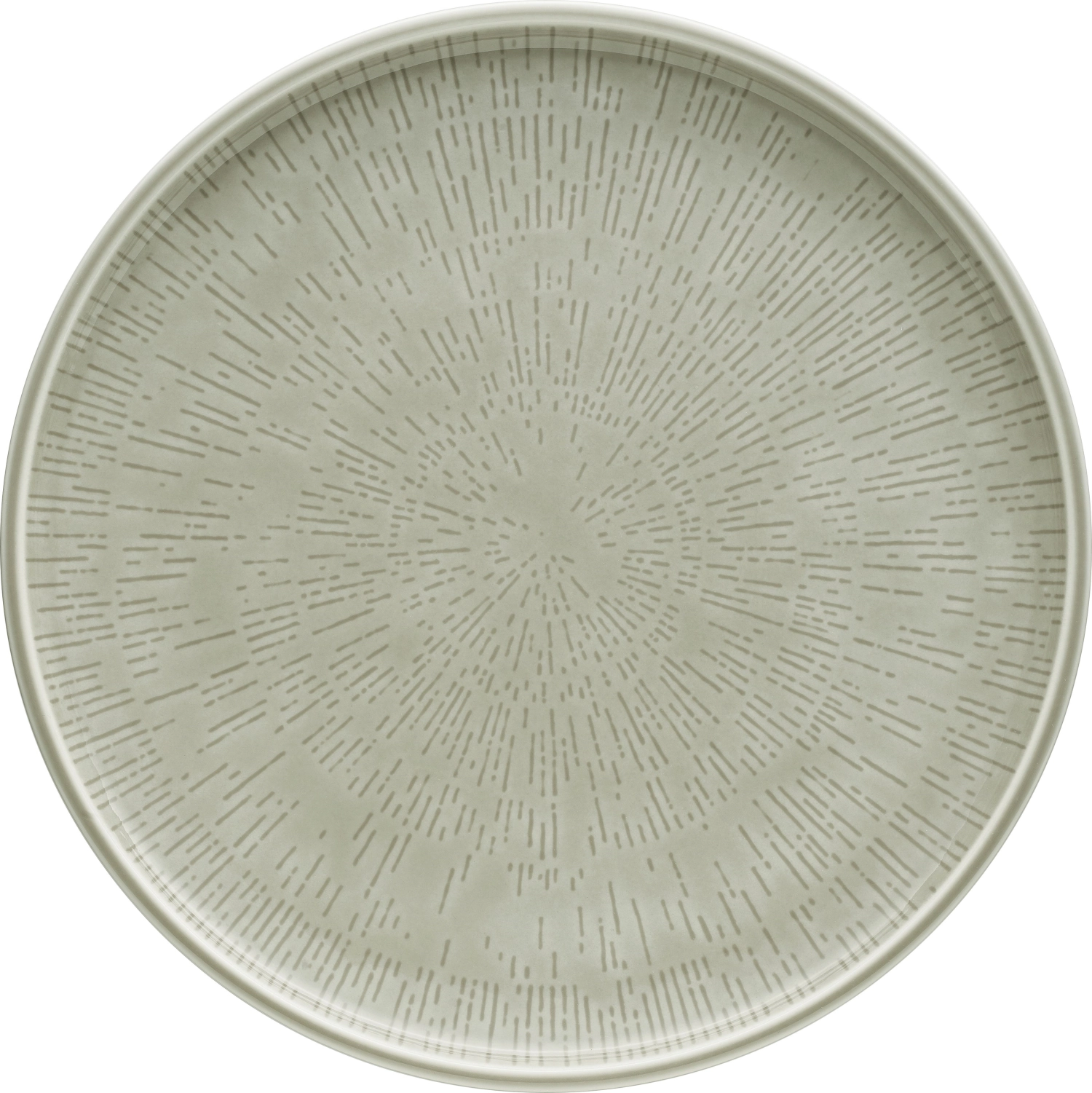 Assiette plate coupe structure 28 steam