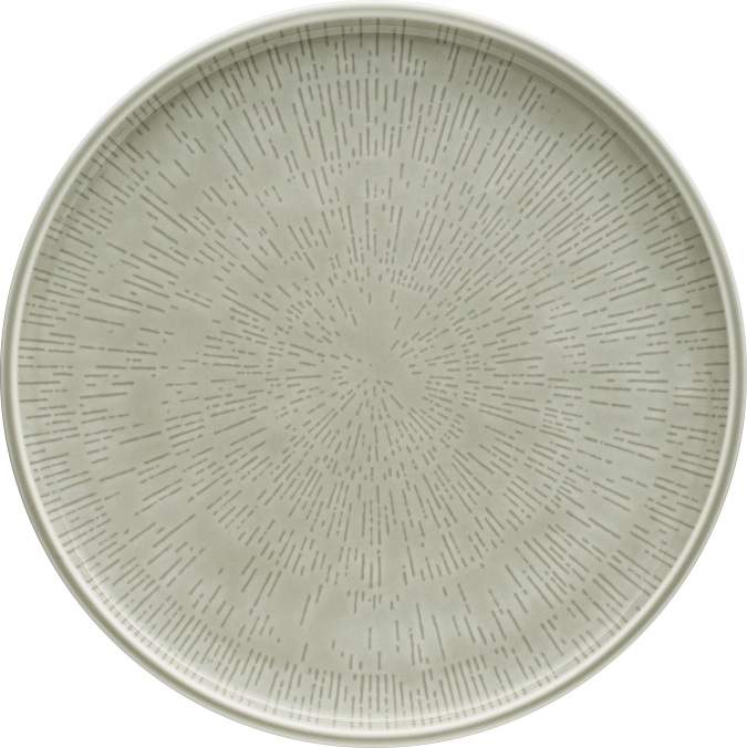 Assiette plate coupe structure 28 steam