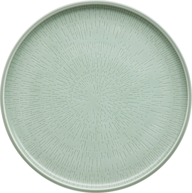 Assiette plate coupe structure 28 frost
