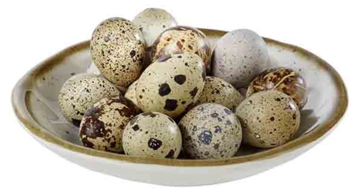 Stone Art Teller D15.5cm H2.5cm, 0.15lt.