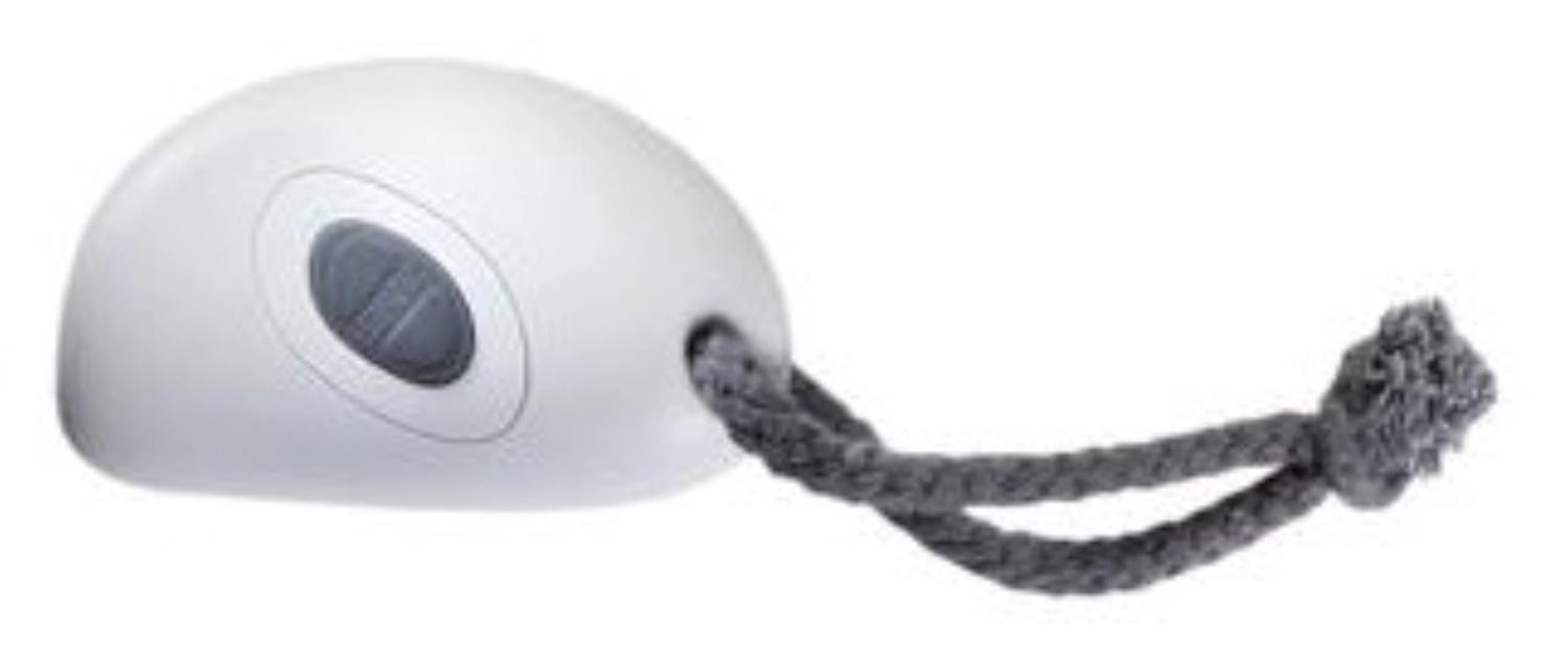 Télécommande, blanc/gris 8.5x5.2x2.8cm