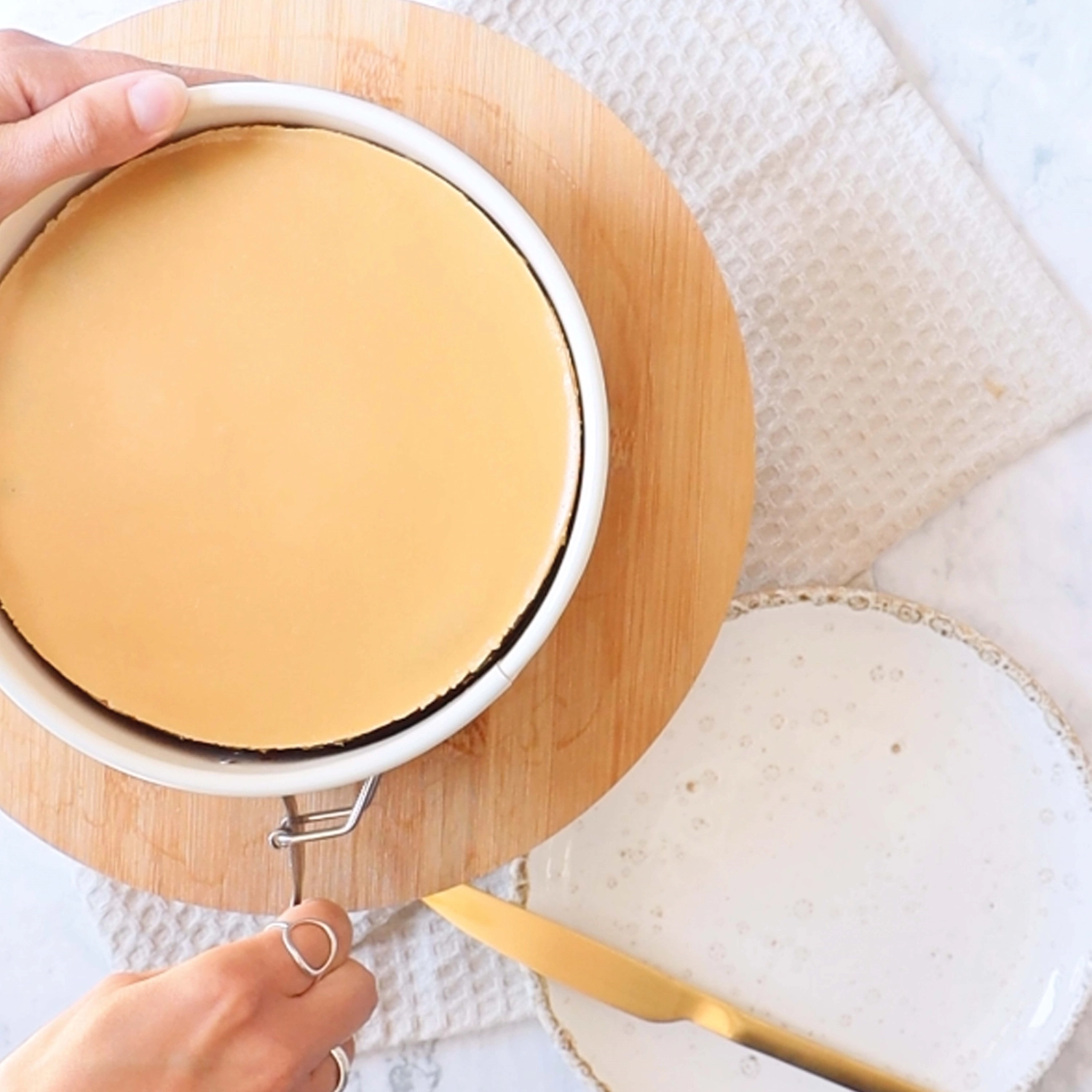 Moule à charnière antiadhésif d20 cm