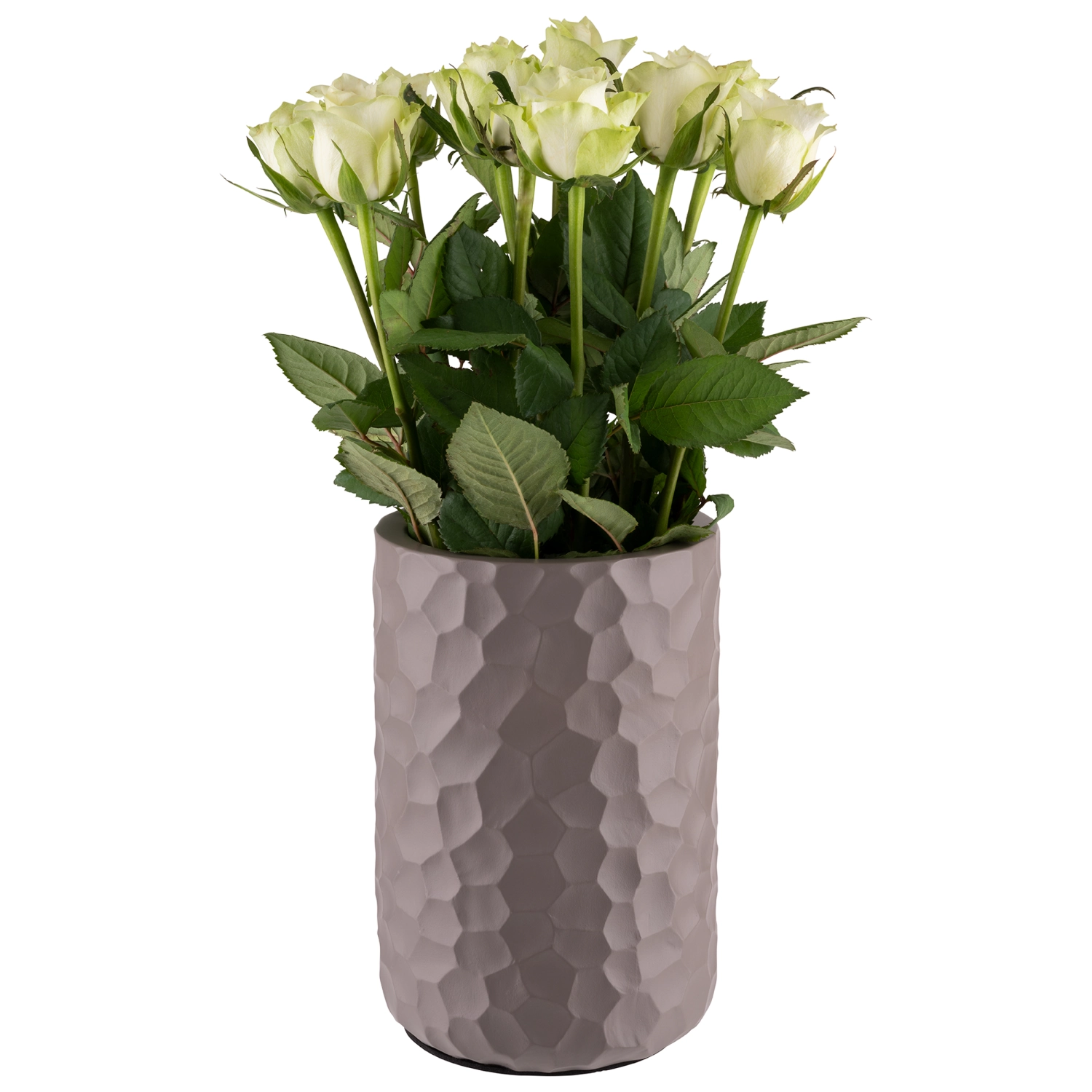 Refroidisseur de bouteilles ELEMENT