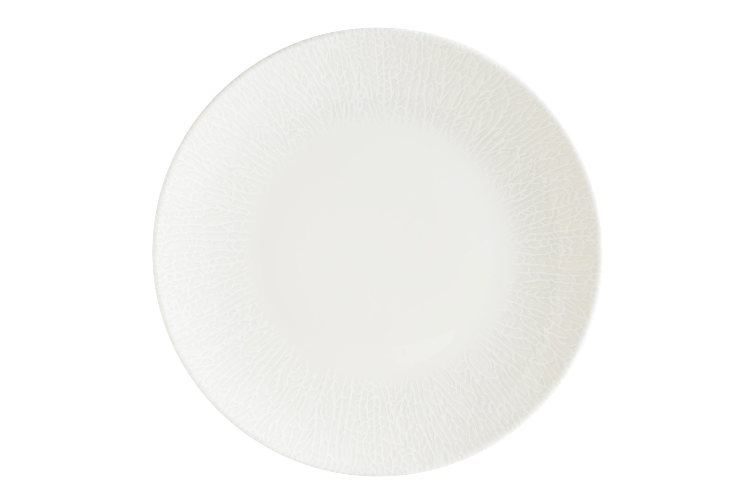 Radix Gourmet Assiette plate D25cm