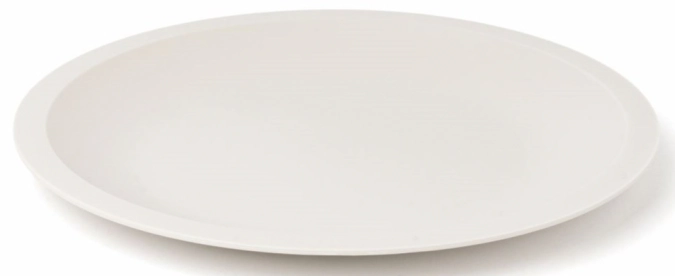 Assiette Amuse Pro