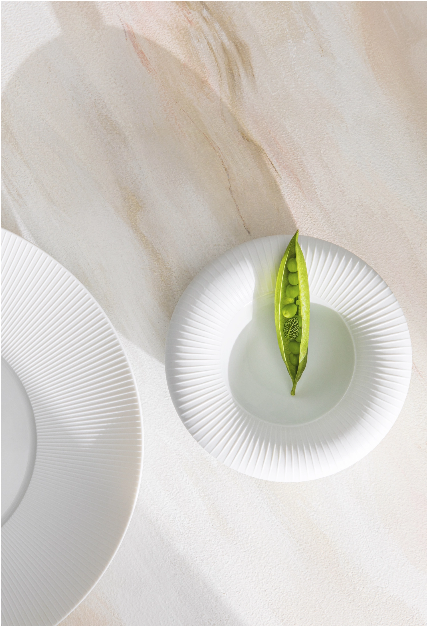 Boléro Coupe Bubble