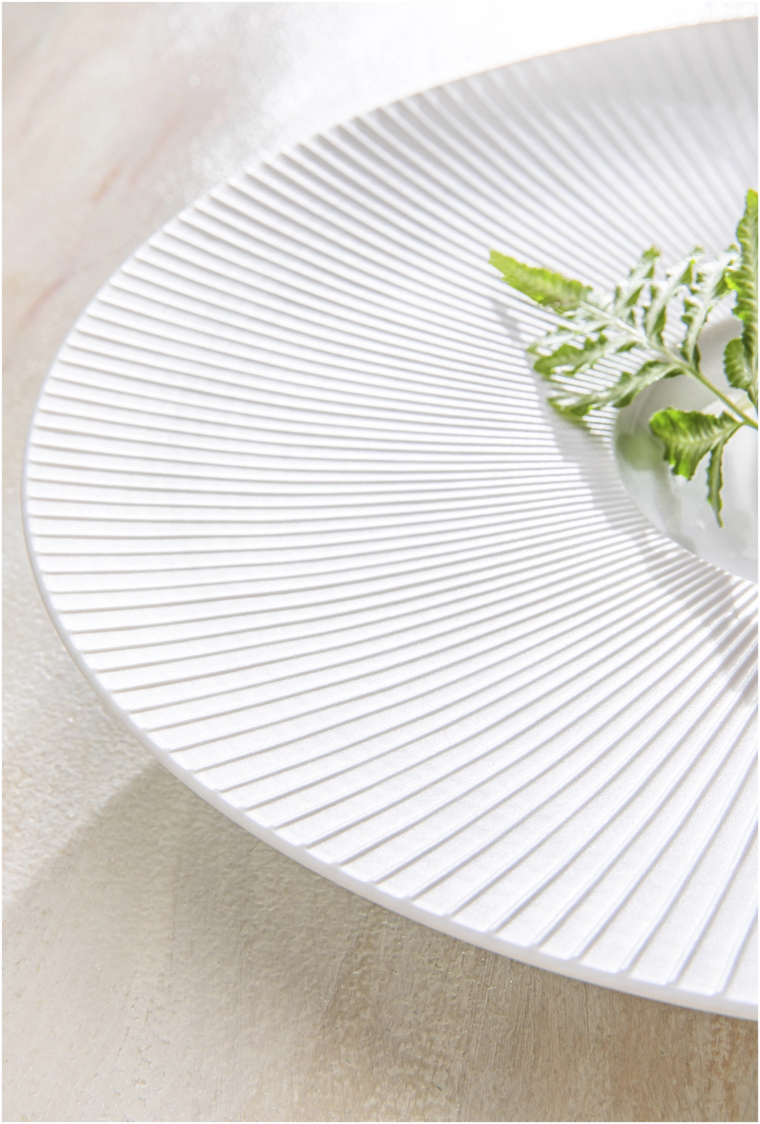 Bolero Soucoupe à café