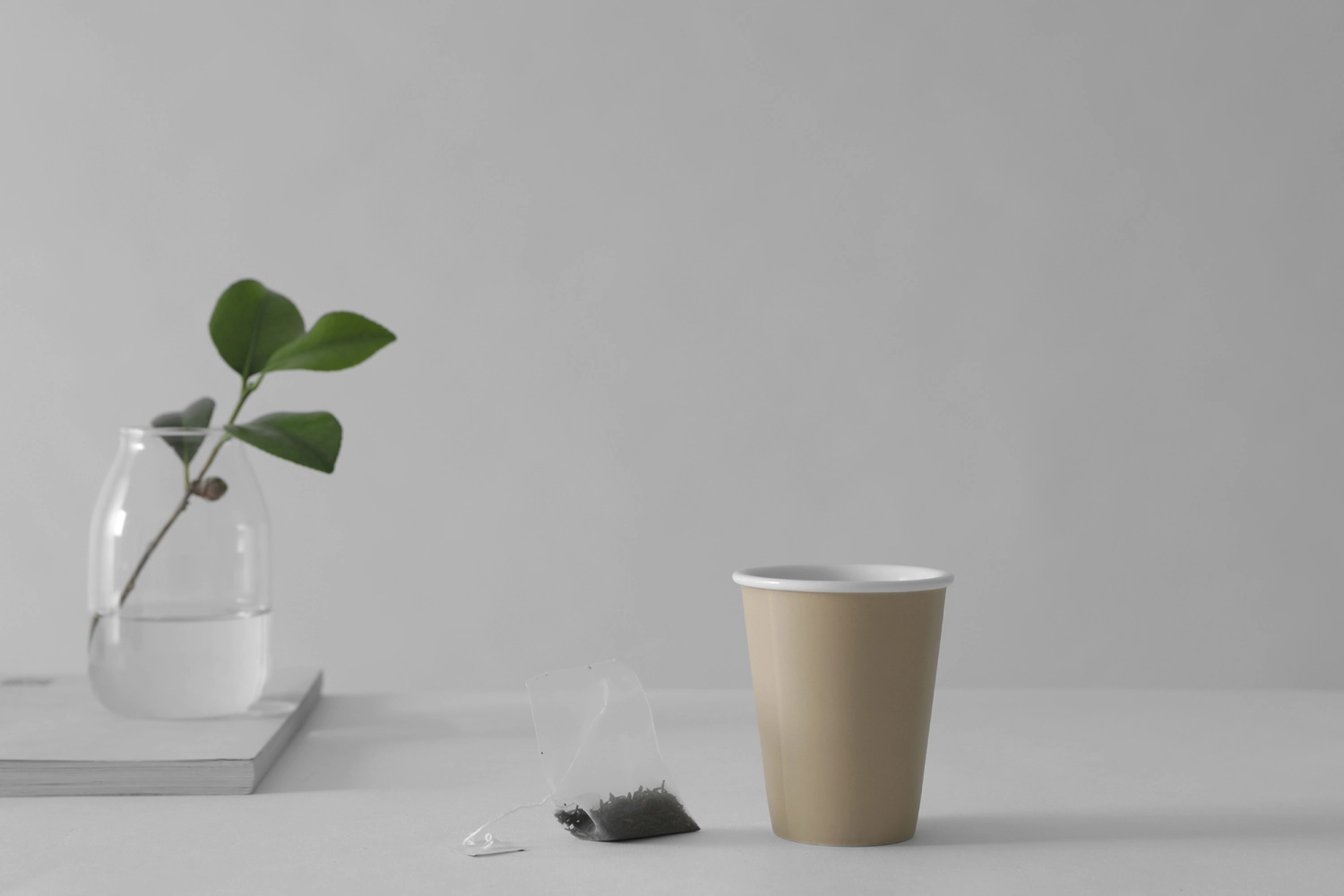 Anytime Laura Tasse