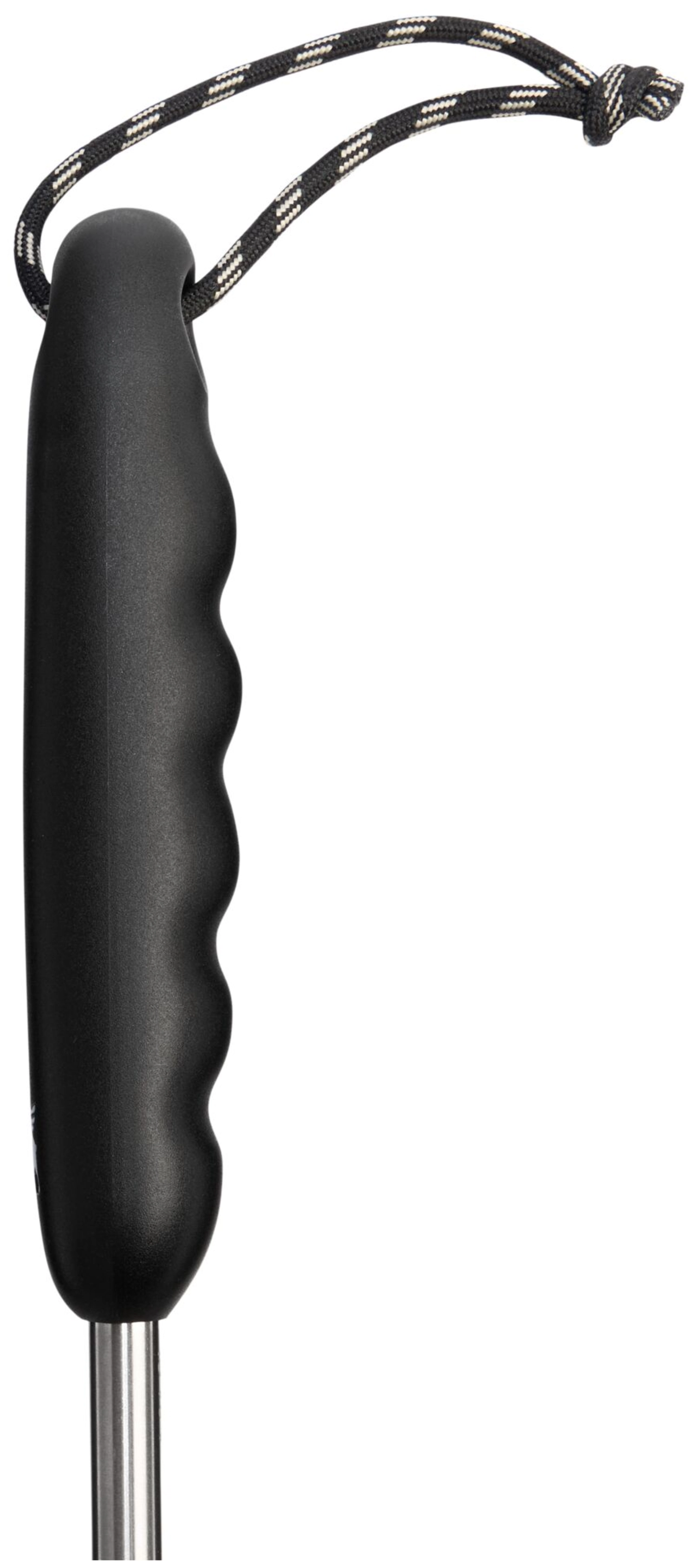 Classic Brosse de nettoyage