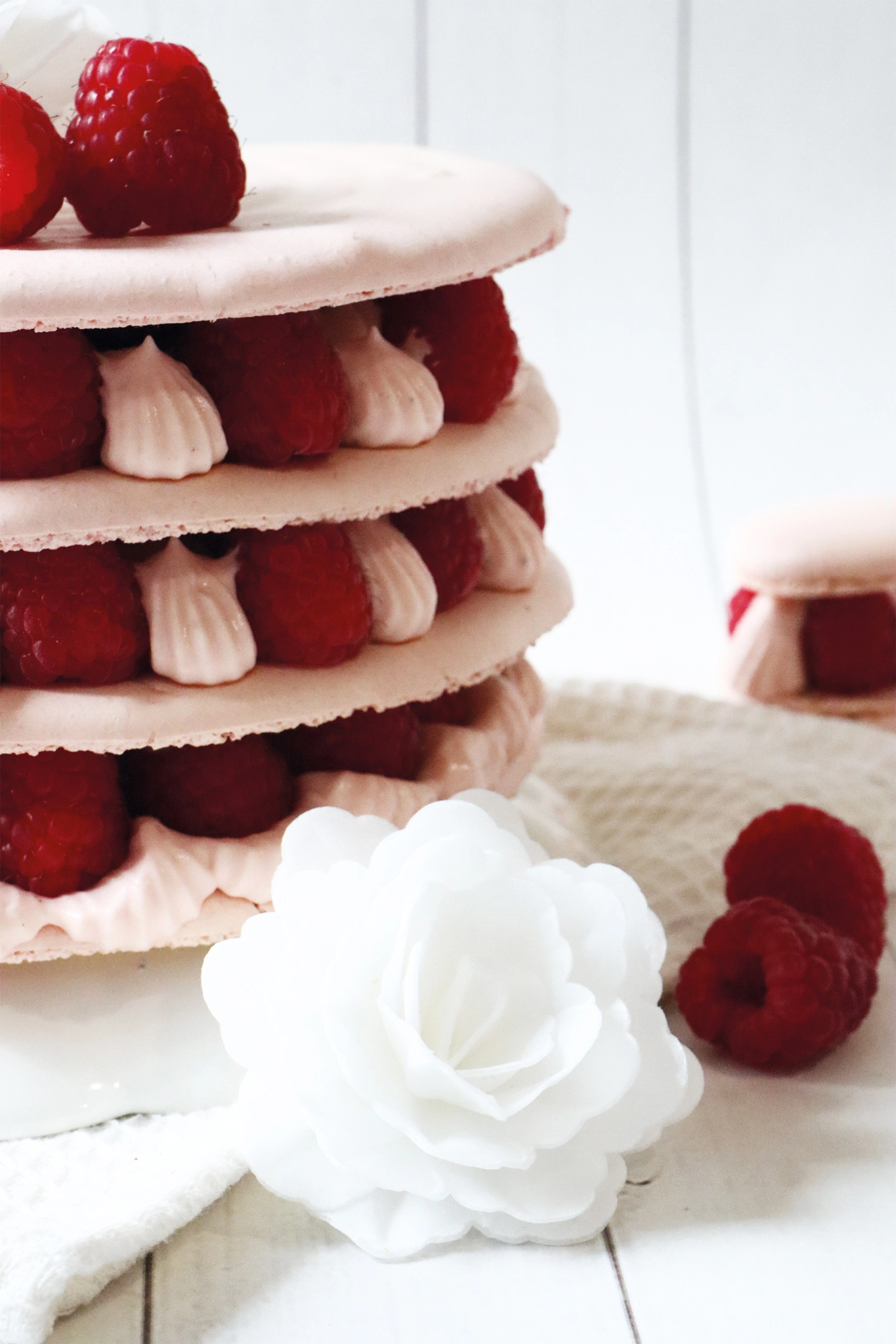 Set de 3 roses en papier blanc