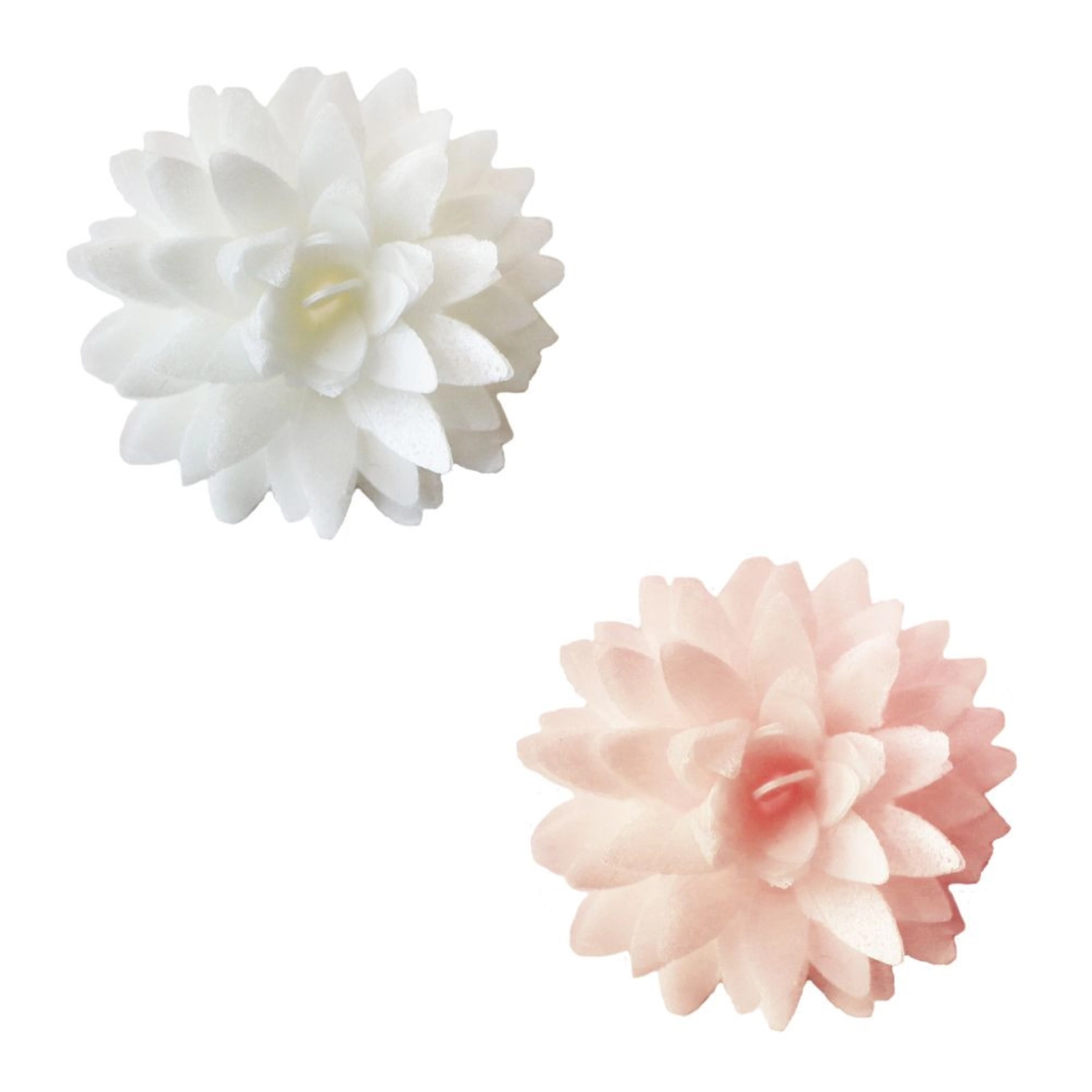 Set de 5 dahlias en papier comestible blanc, rose