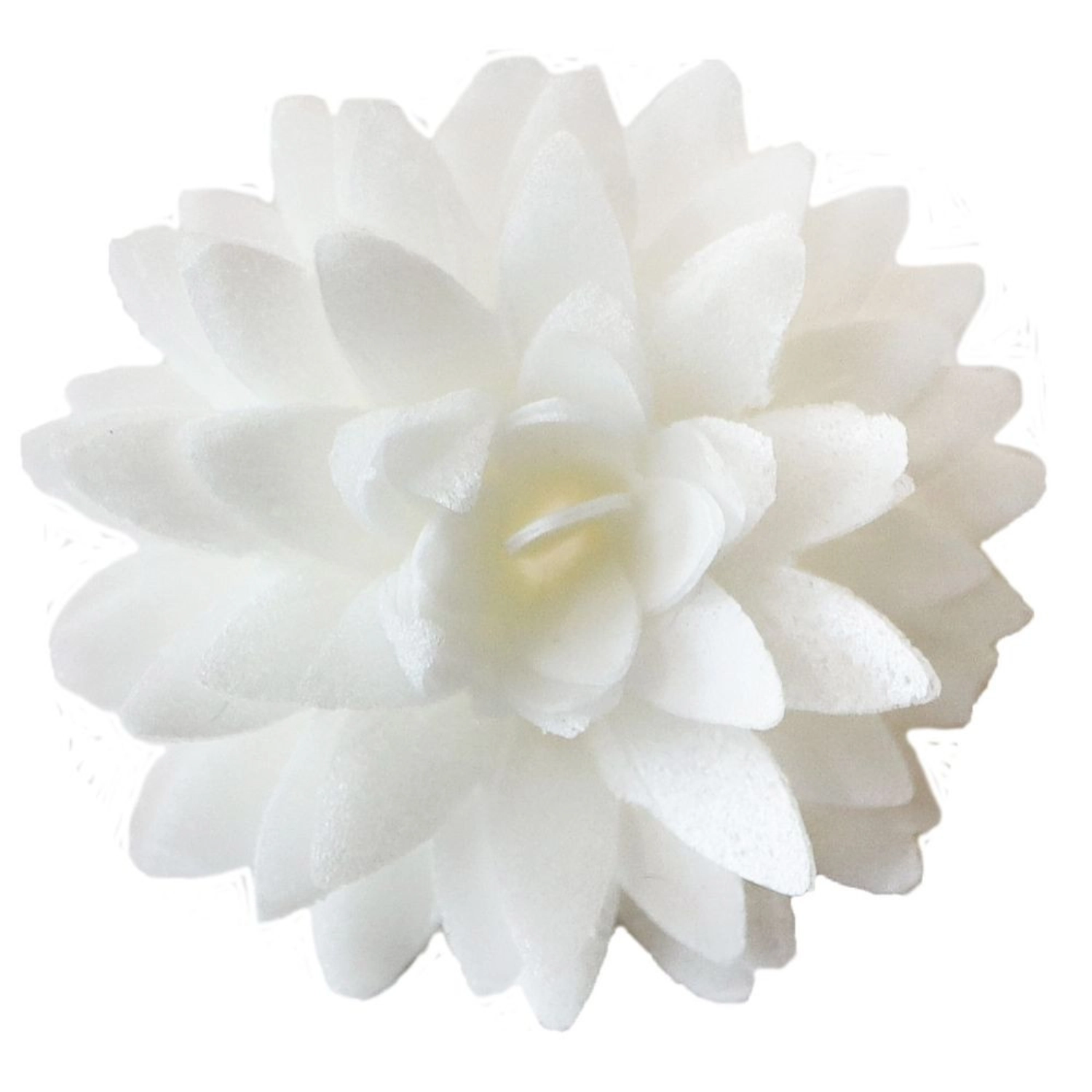 Lot de 5 dahlias en papier blanc