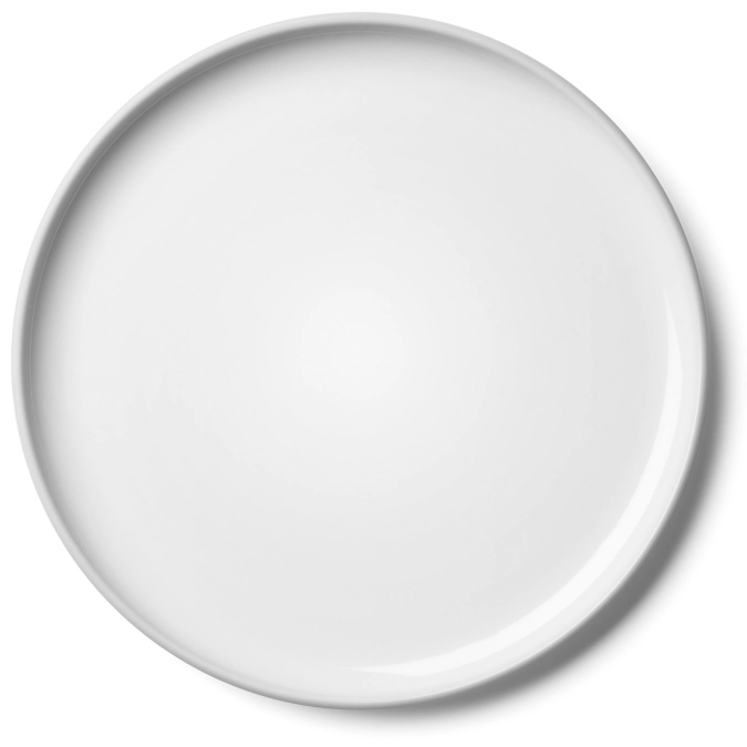 Lot de 2 assiettes plates Collective