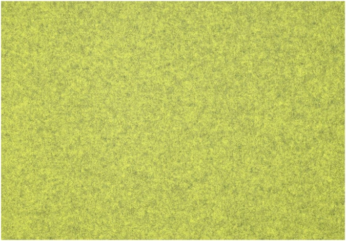 Feutre de laine set de table