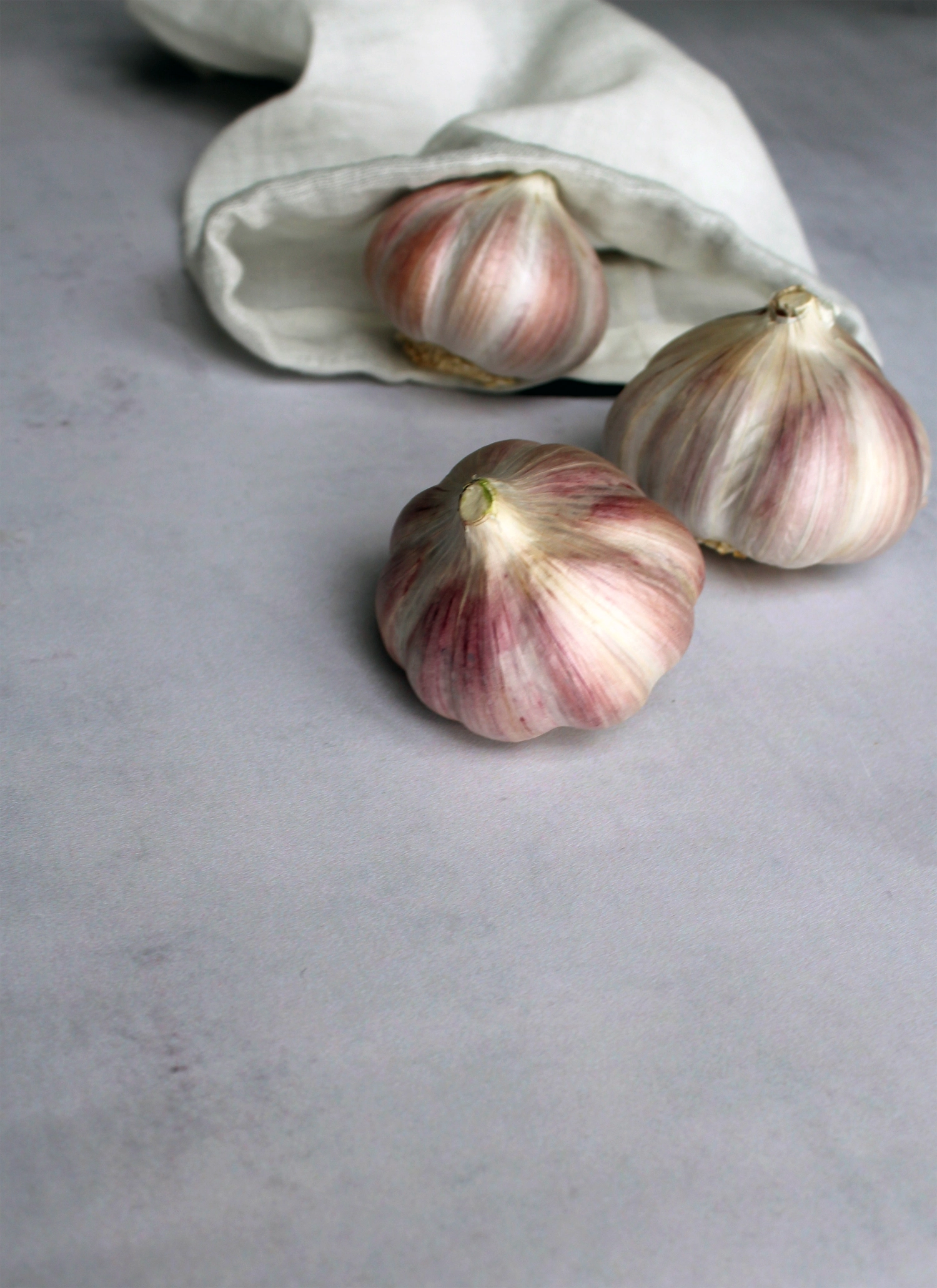 Food bag 3er Set Beutel