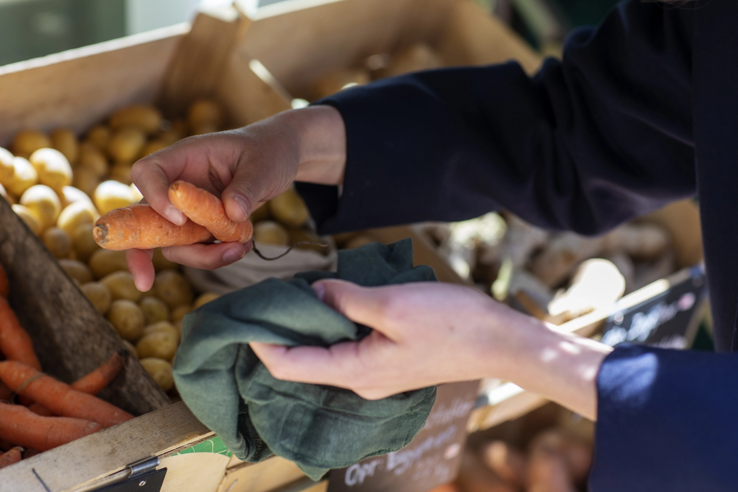 Food bag 3er Set Beutel