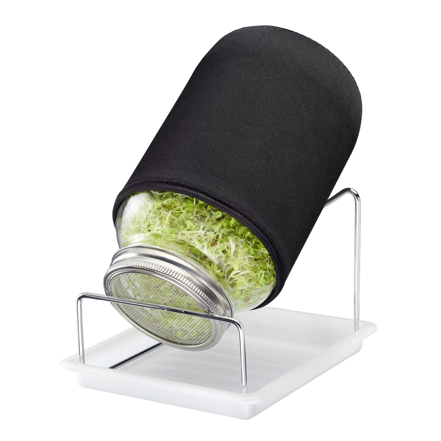 Set pour germes, 1 bocal