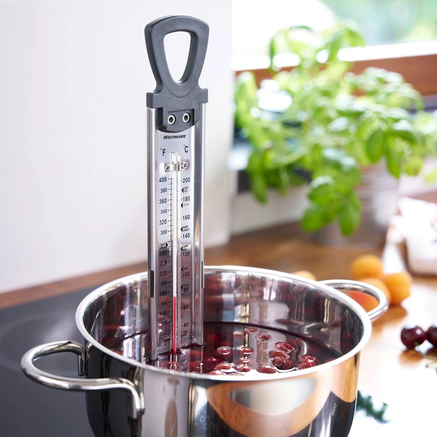 thermomètre à sucre