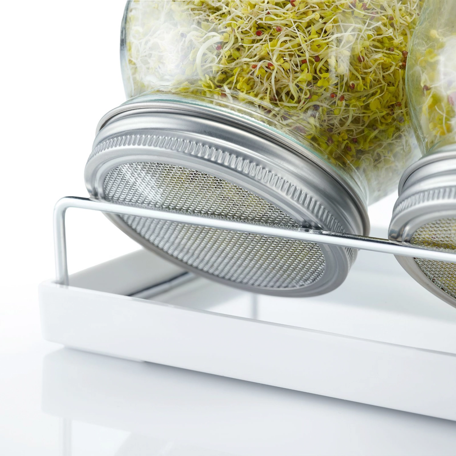 Set de bocaux pour germes, 2 bocaux