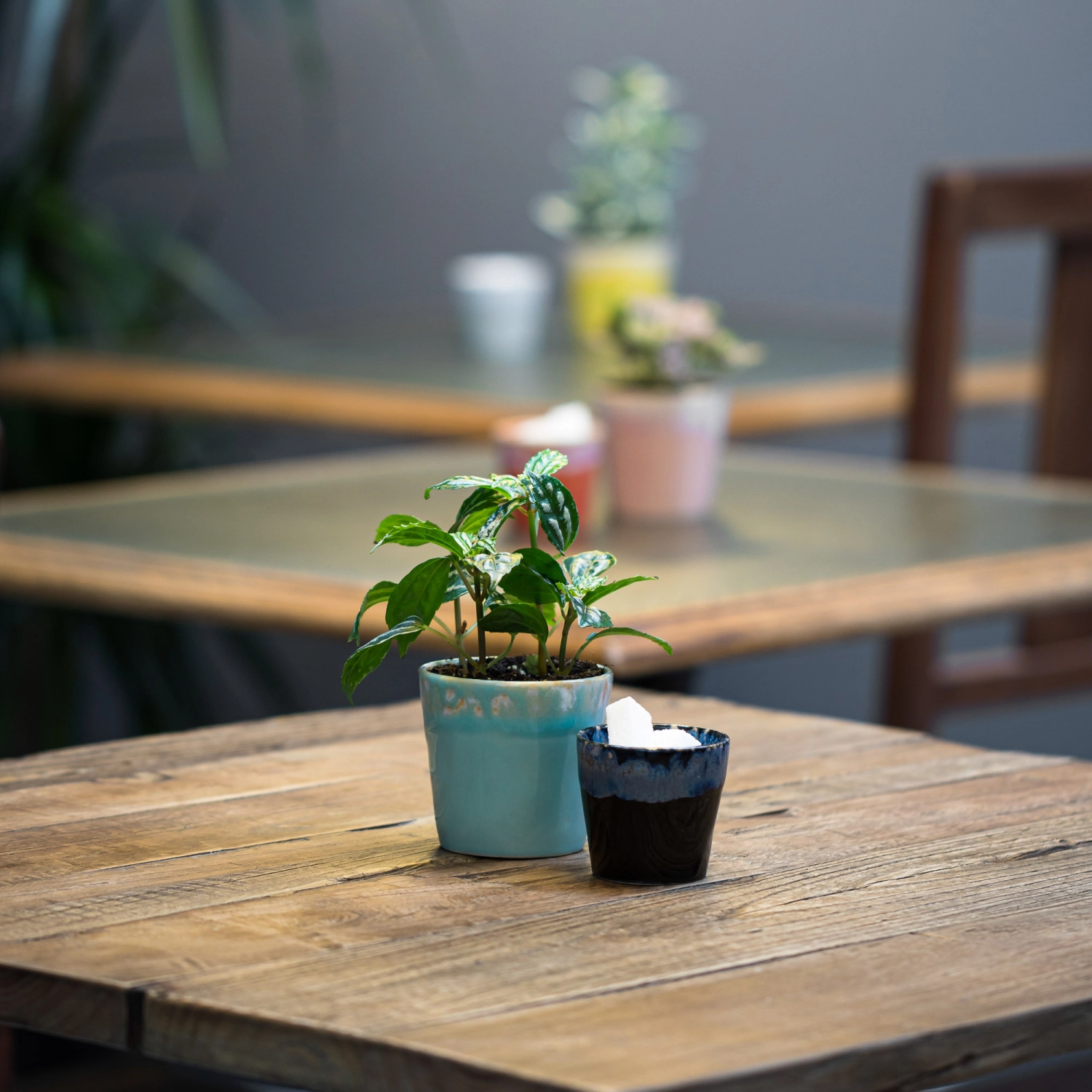 Grespresso Espressotasse