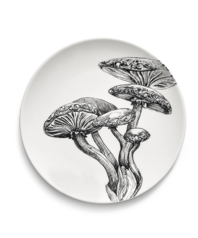 Unity Teller Mushrooms